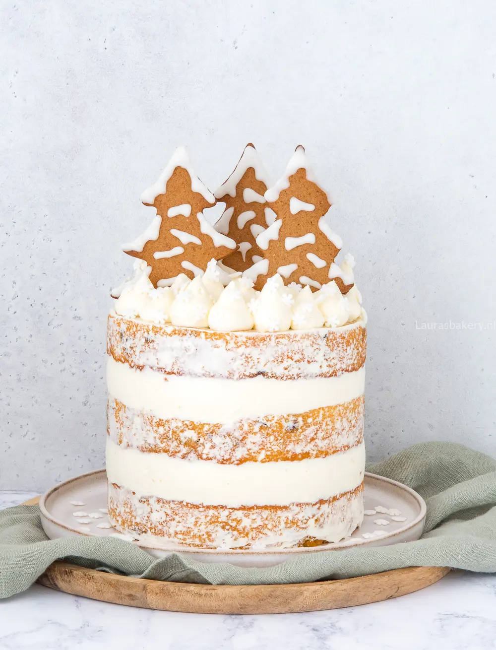 Het Feestdagen Bakboek - Sinaasappel cranberry laagjestaart -Gingerbread koekjes recept