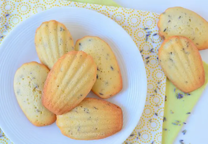 lavendel citroen madeleines 3a