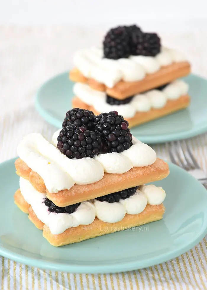 Bramen tiramisu 1a