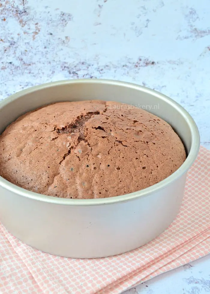 Chocoladebiscuit