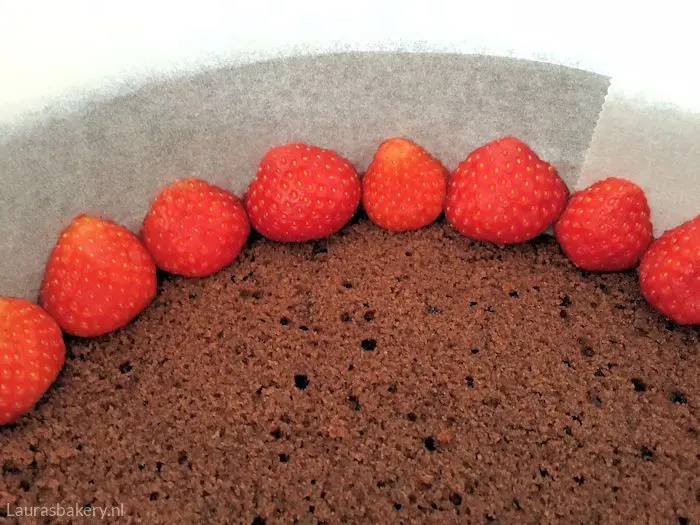 chocolade ijscake met aardbeien 2a
