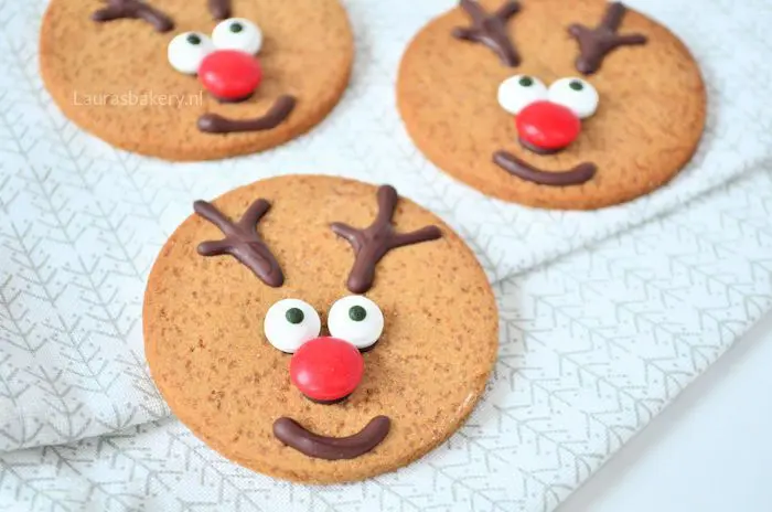 rudolph-het-rendier-koekjes-2a