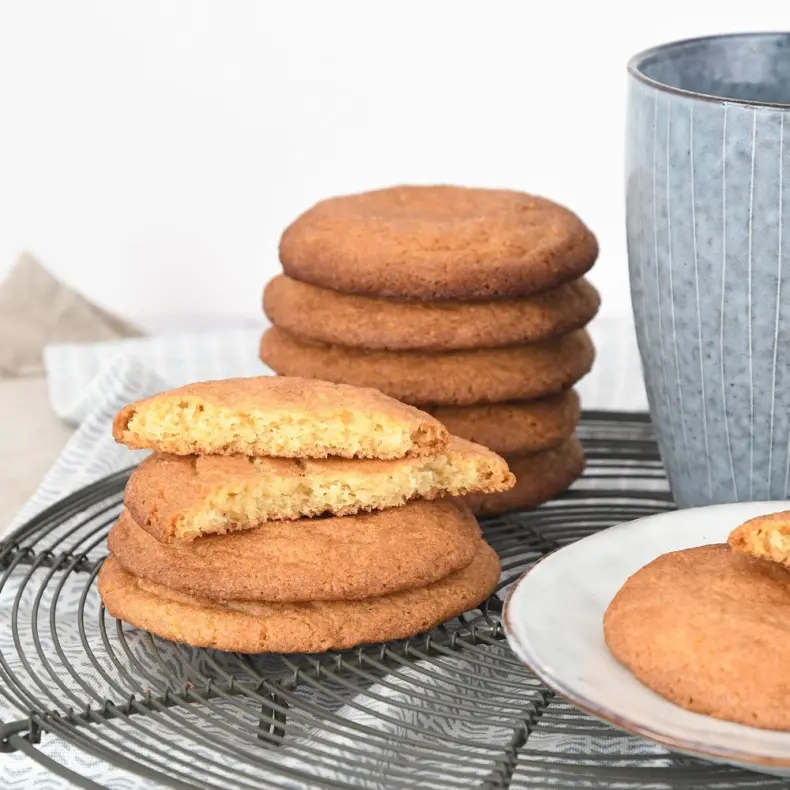 Snickerdoodles + koekjesbijbel review