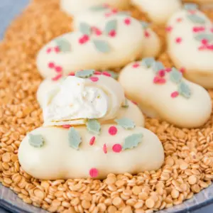 WITTE CHOCOLADE SLAGROOMTRUFFELS