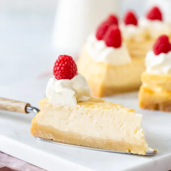 Boterkoek cheesecake