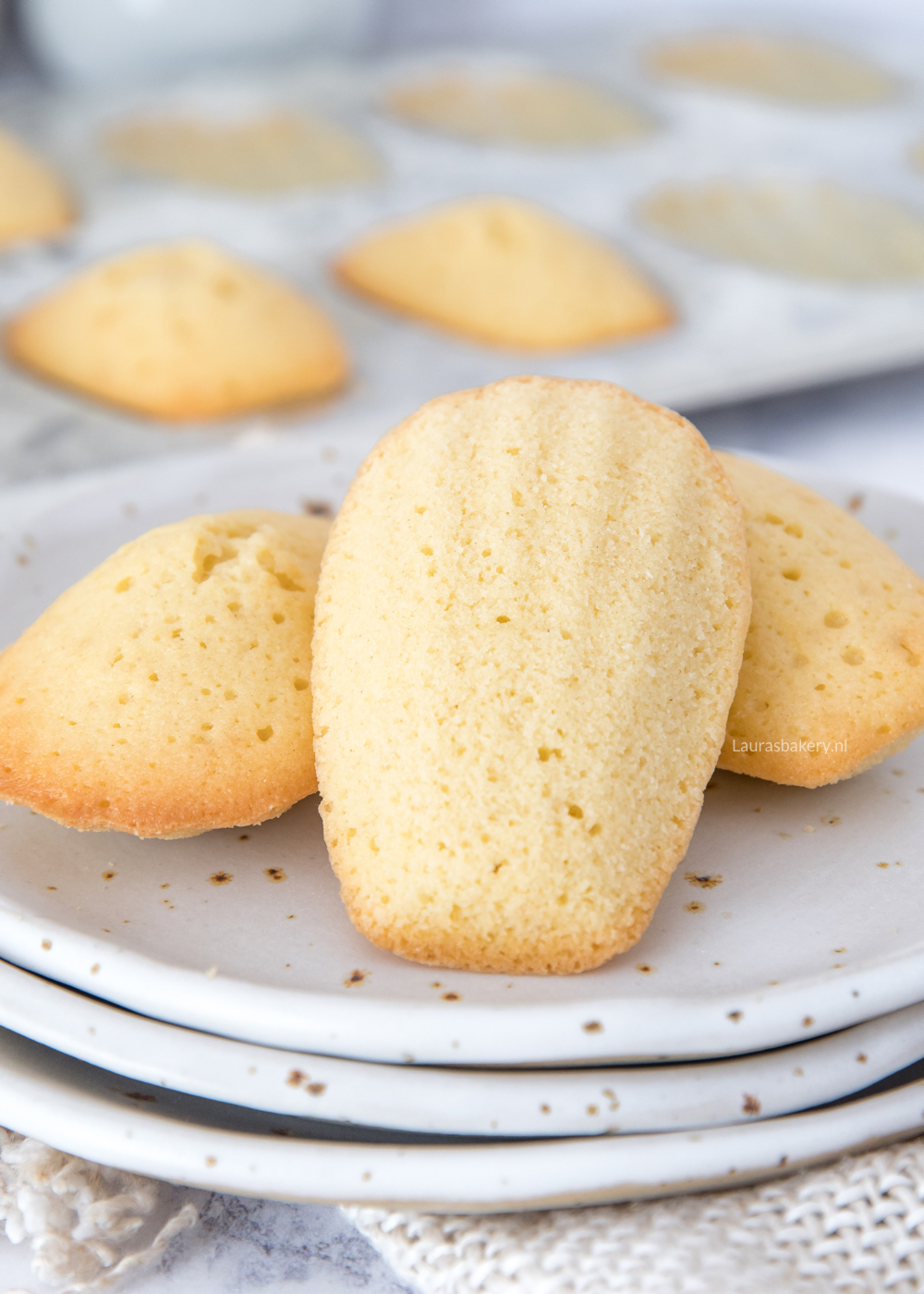 Madeleines cake