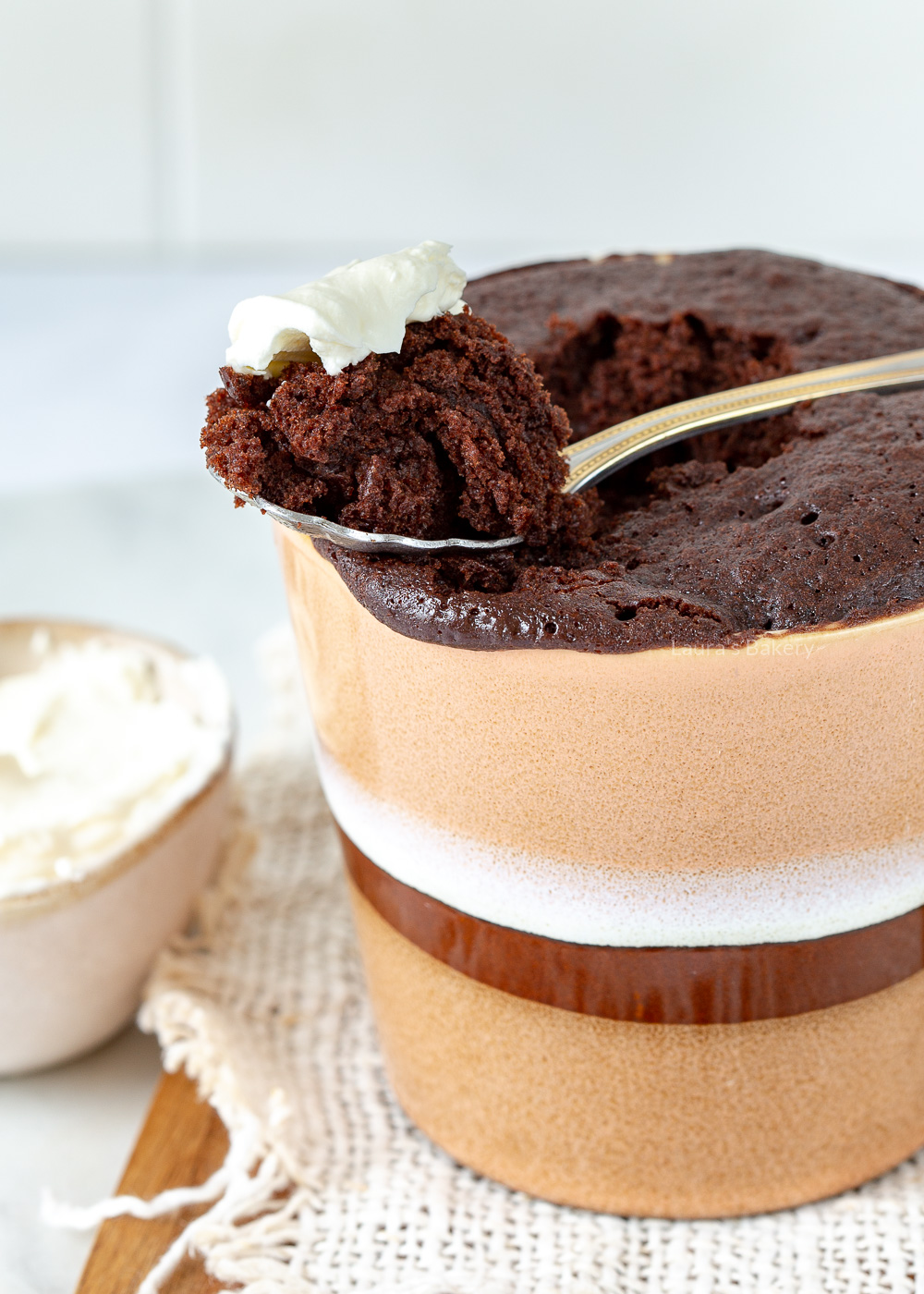 Chocolade mug cake tips