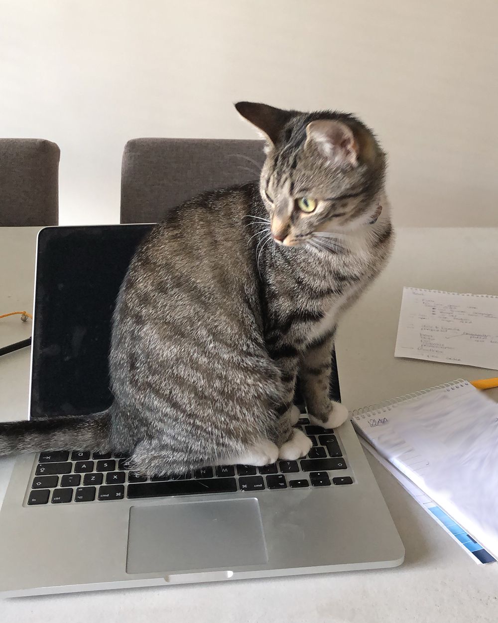 BEHIND THE SCENES: AUGUSTUS 2019
