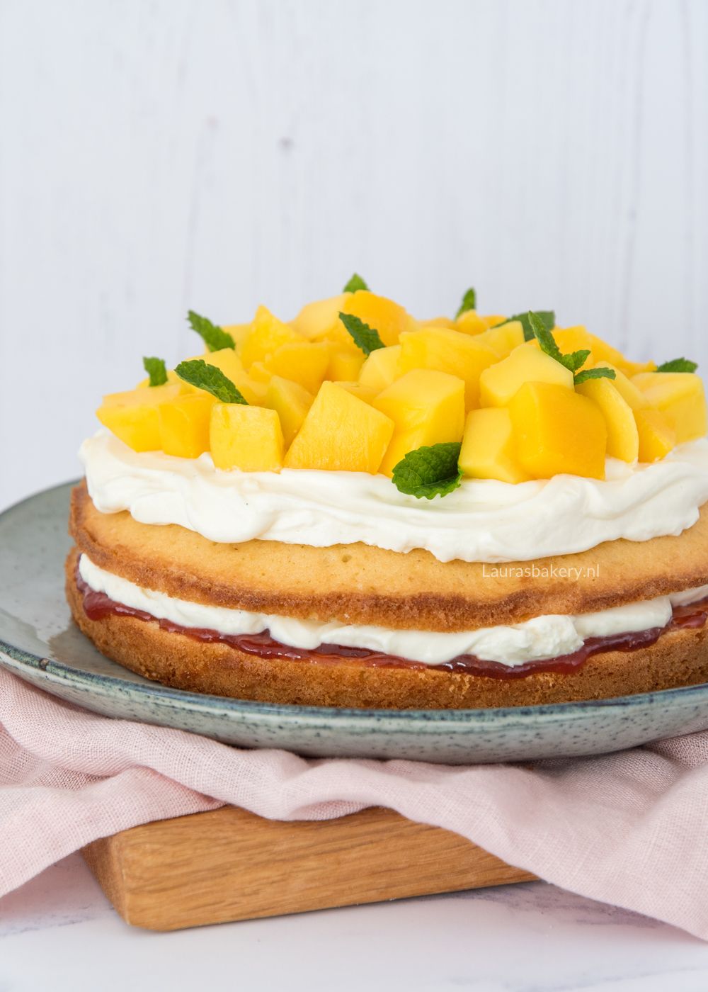 AARDBEI-MANGO SPONGECAKE 