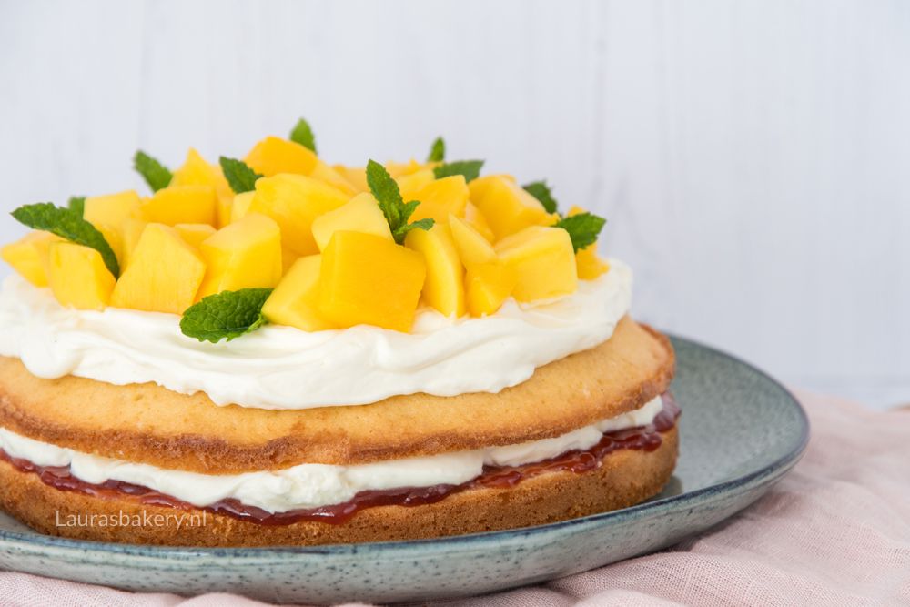 AARDBEI-MANGO SPONGECAKE 