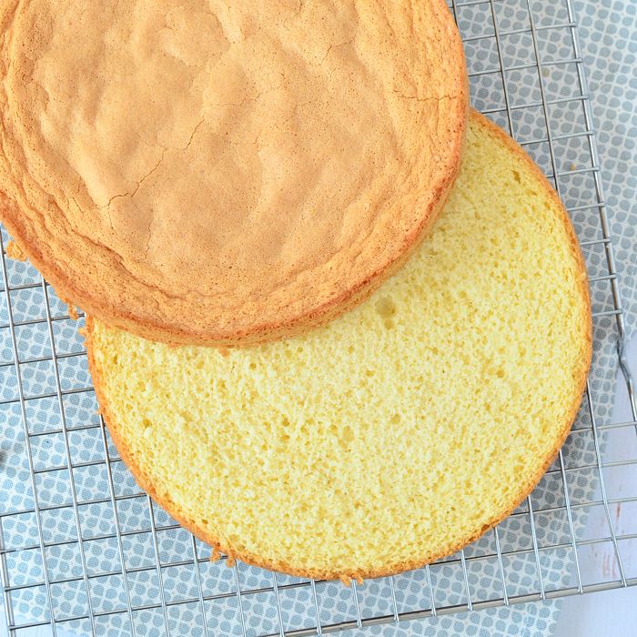 Het verschil tussen cake en biscuit