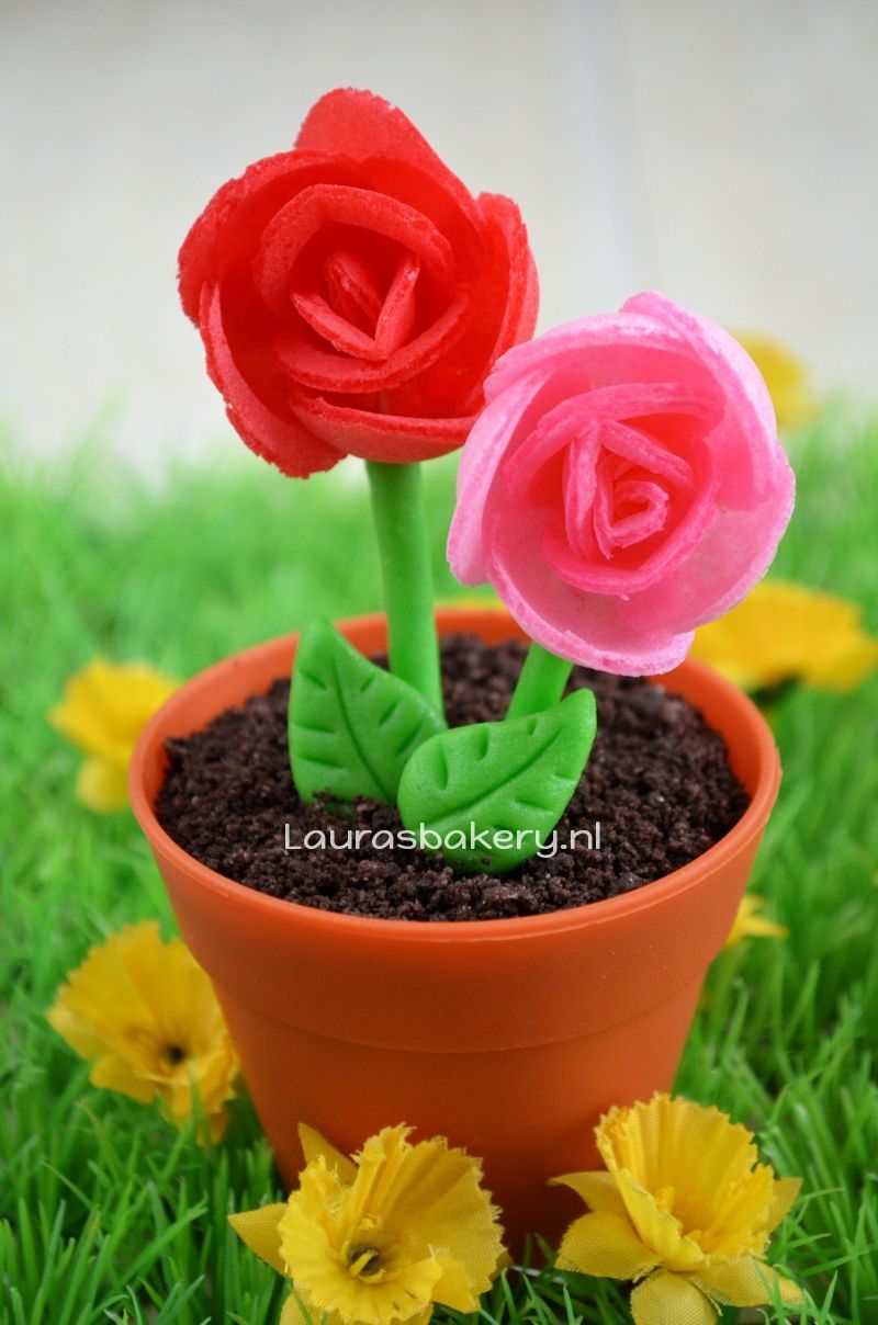 bloempot cupcakes met ouwelbloemen 6a