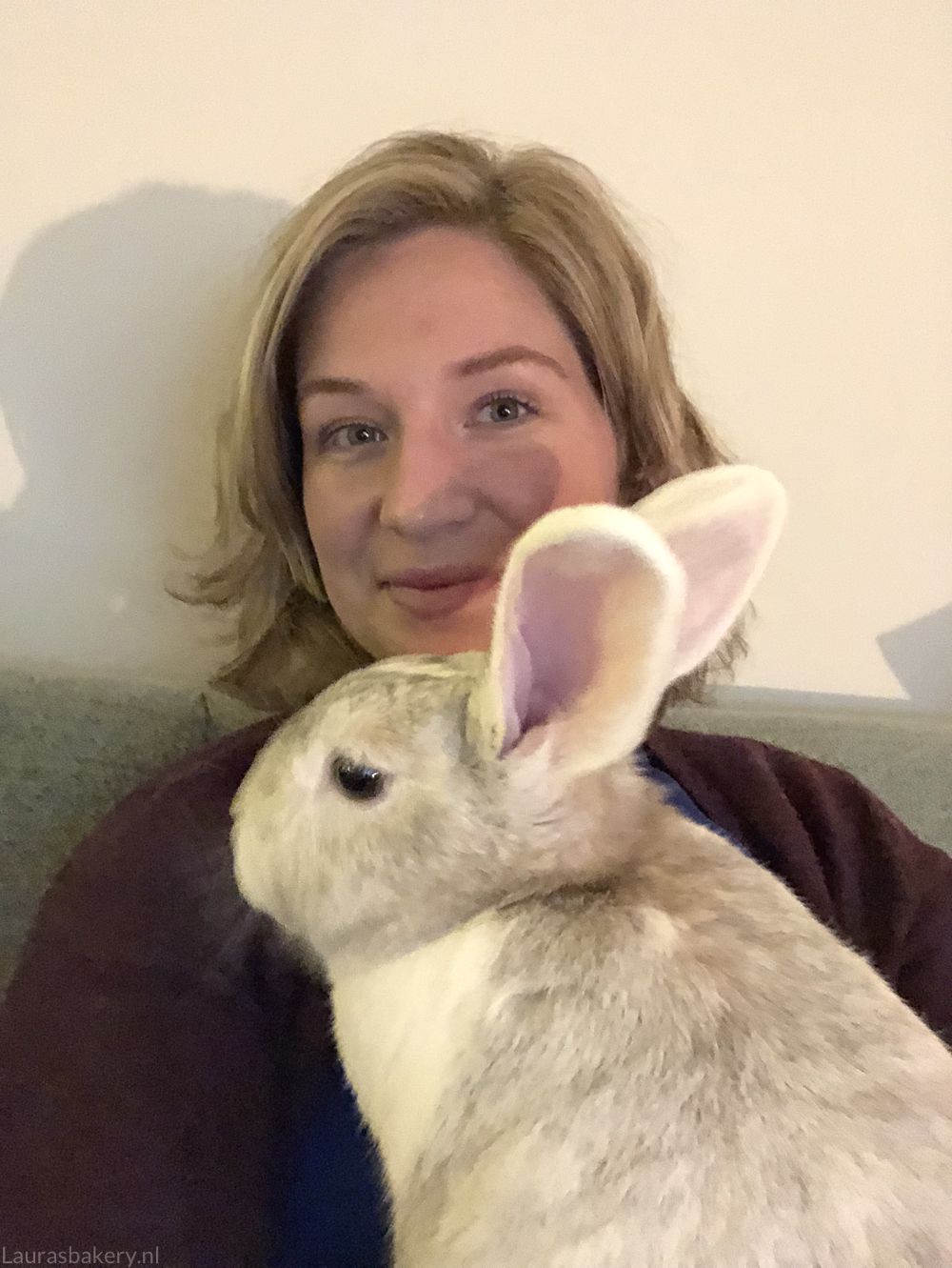 BEHIND THE SCENES: DECEMBER 2018
