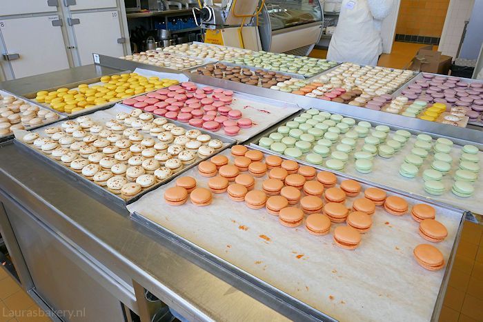 macaron