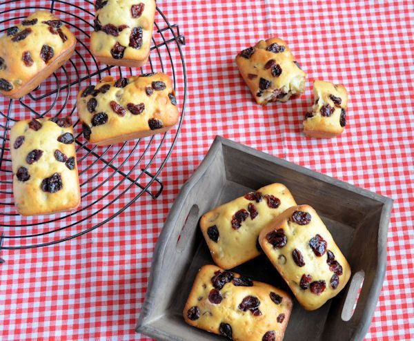 Cranberry muffins recept