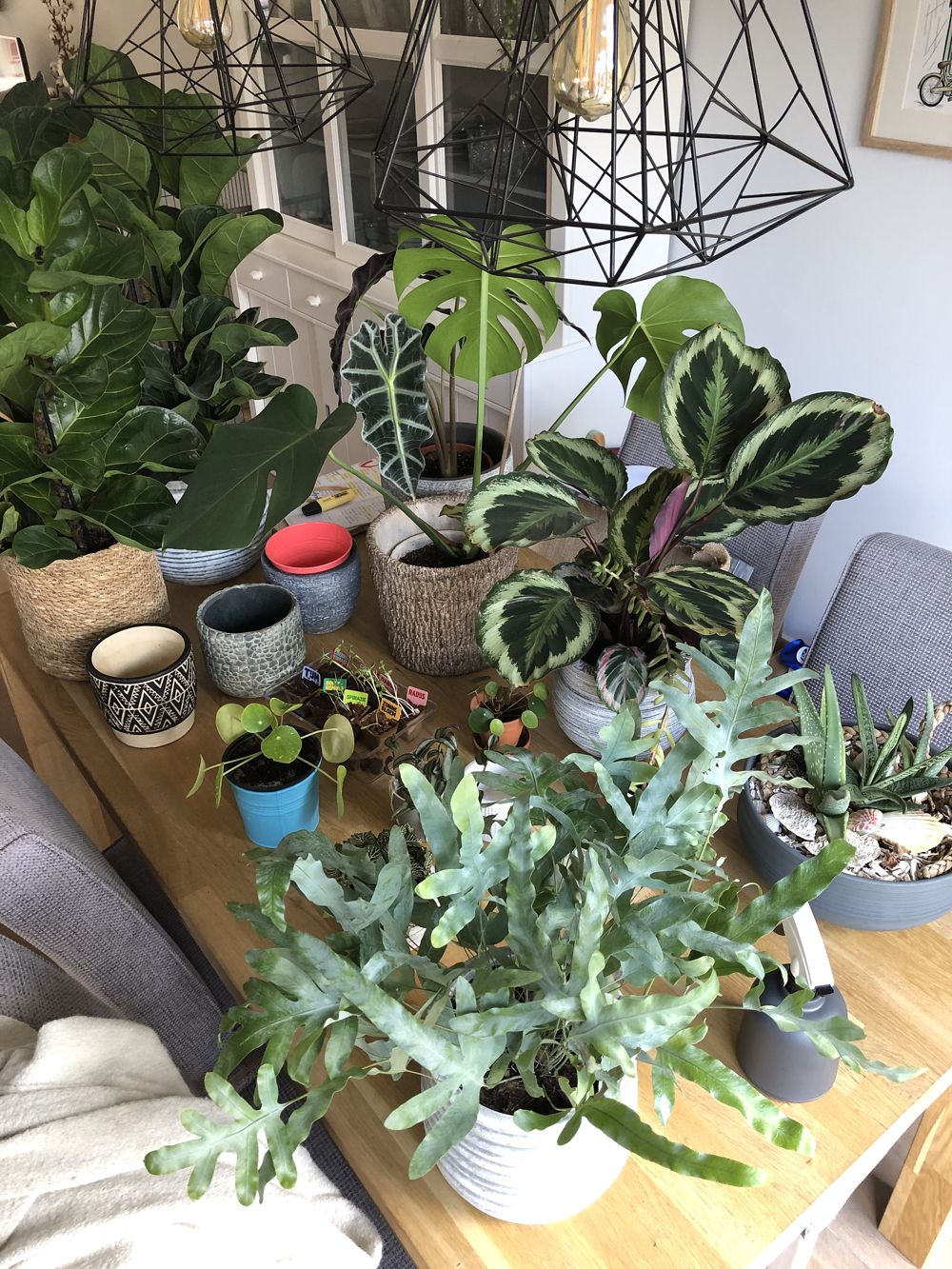 BEHIND THE SCENES: APRIL 2019 