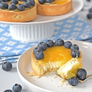 BLAUWE BESSEN-CITROEN TARTELETTES