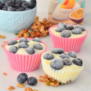 Kwark yoghurt ijsjes met granola