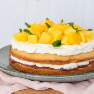 AARDBEI-MANGO SPONGECAKE