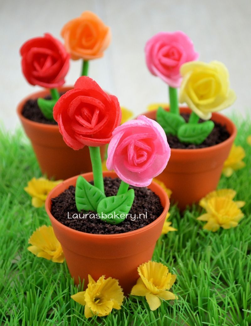 Bloempot cupcakes met ouwel bloemen