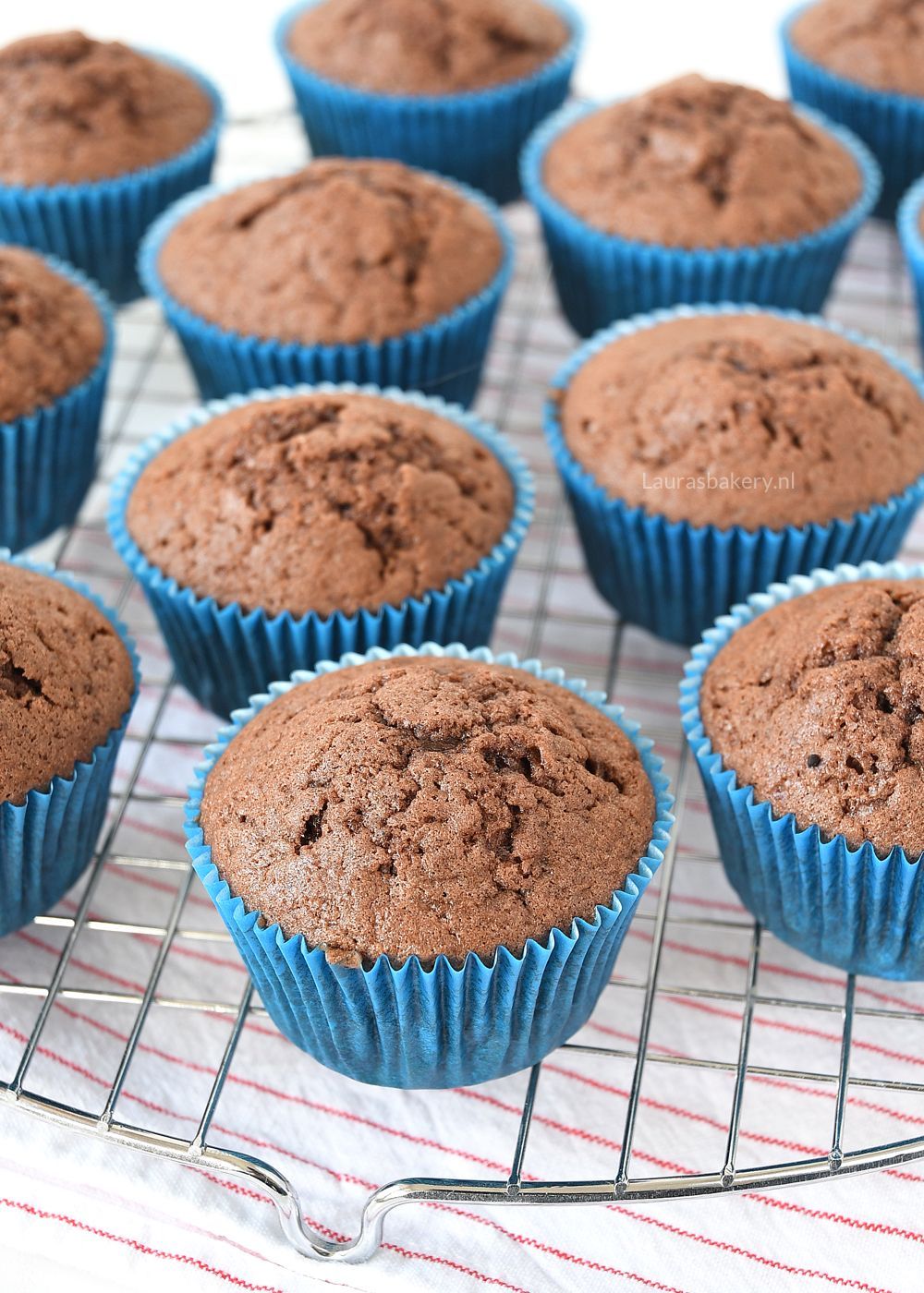 chocolade cupcakes