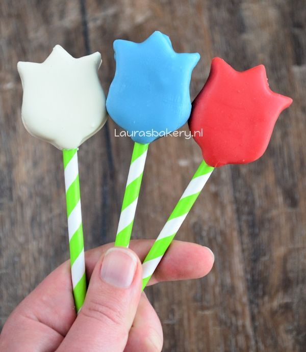 koningsdag tulpen pops 4a