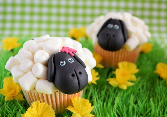 Op de boerderij: Schapen cupcakes