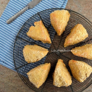 VOLKOREN KAASSCONES maken
