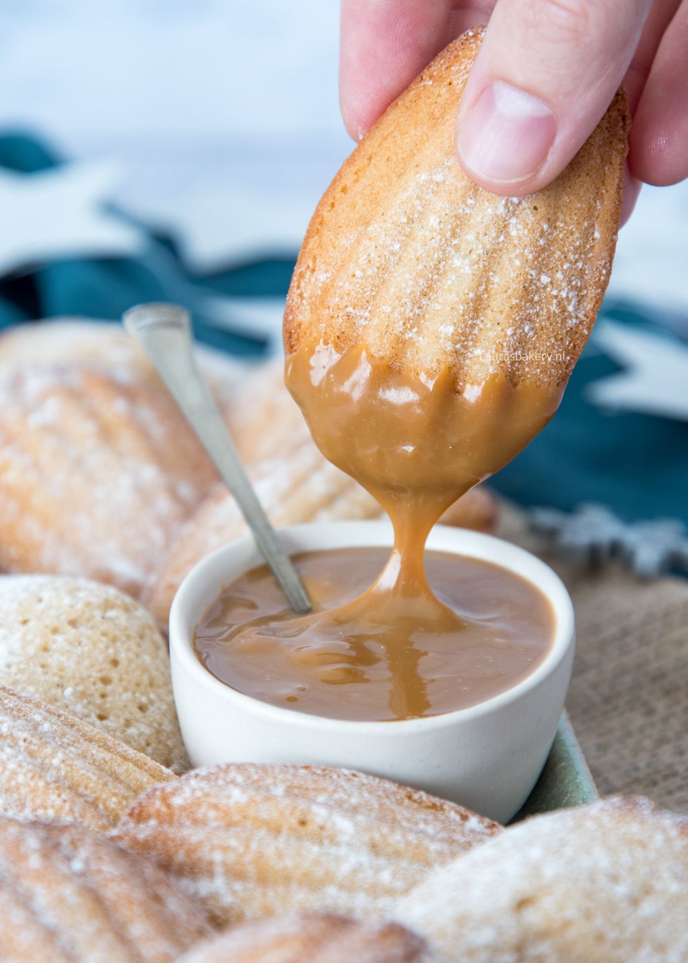 gingerbread madeleines 