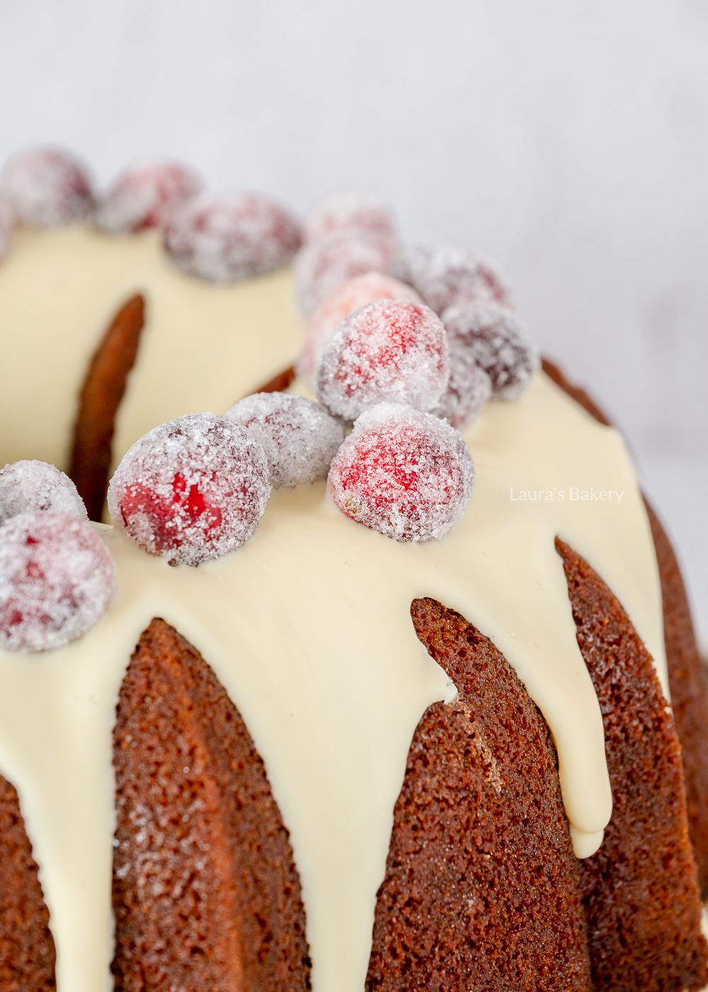 gingerbread cake met cranberries