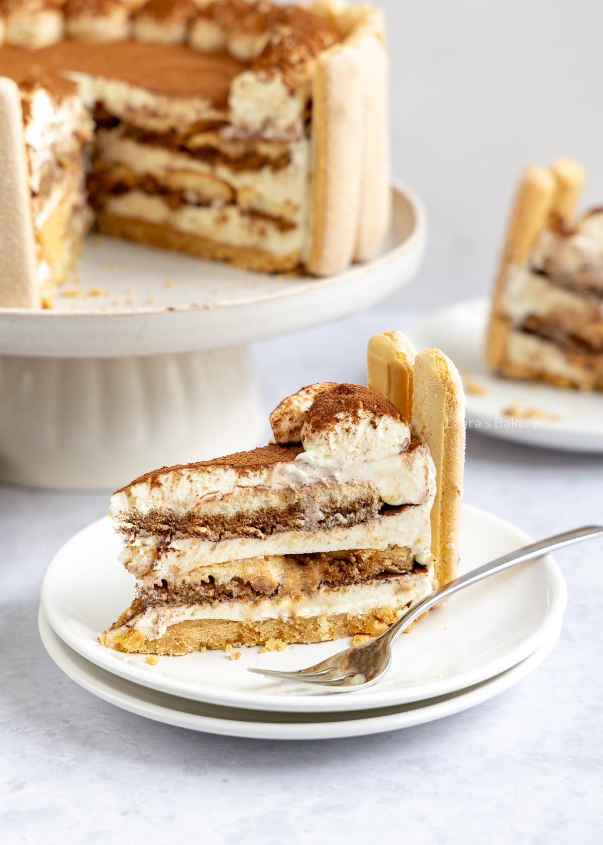 Punt tiramisu taart